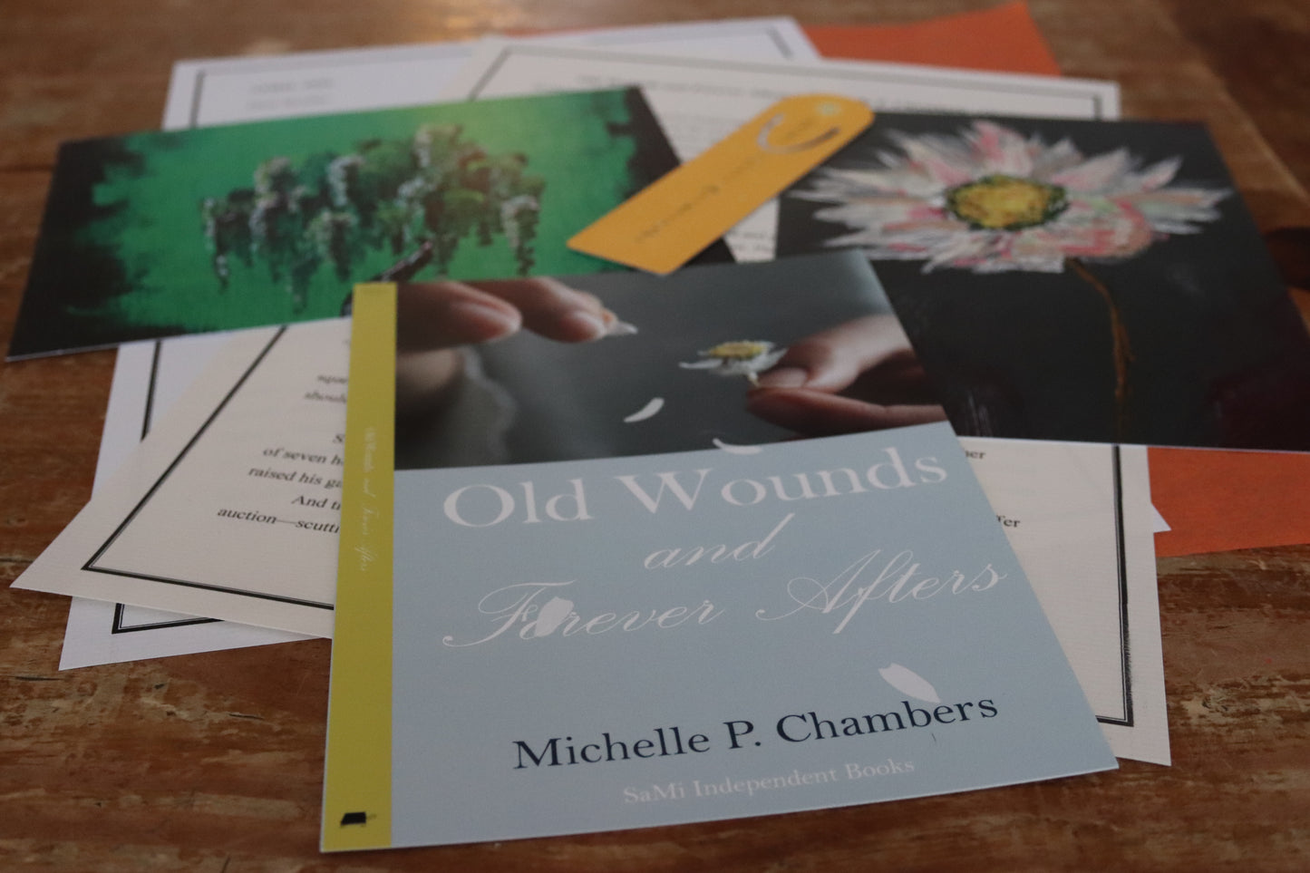 Discover a new author - April's Turtle Post