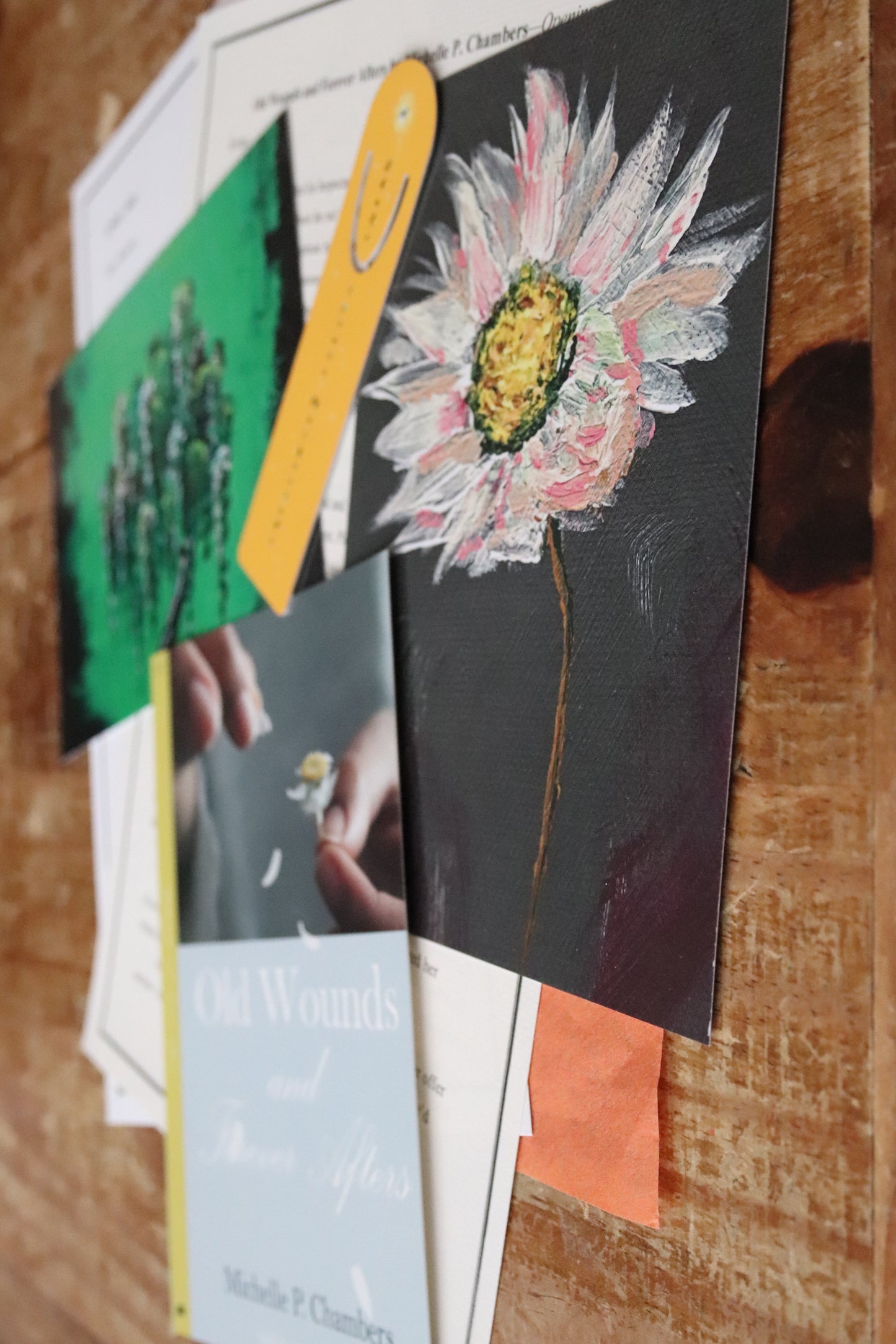Discover a new author - April's Turtle Post
